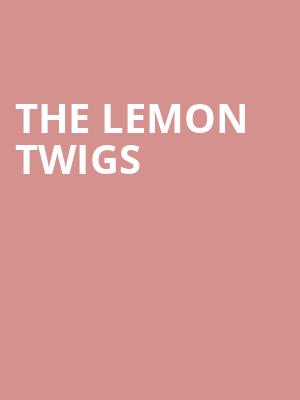 The Lemon Twigs at HMV Forum